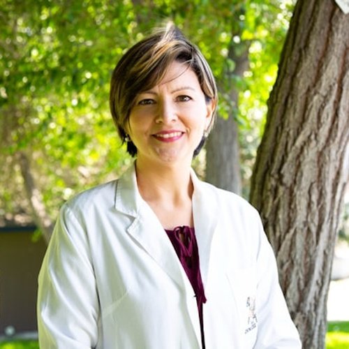 Dr. Elena Vance - Healthcare Strategy & Clinical Systems Director