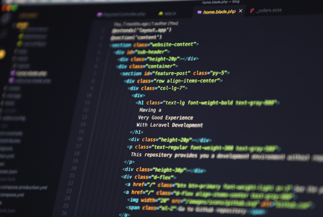 Web Development